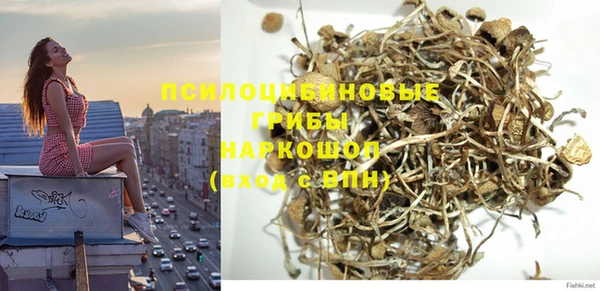 круглые Няндома