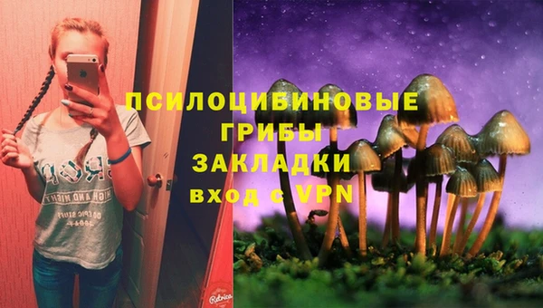 спайс Нягань