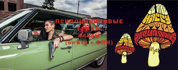 спайс Нягань