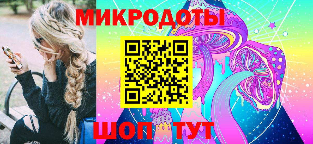 Галлюциногенные грибы Psilocybe  Псилоцибиновые грибы Psilocybe  Алексеевка 